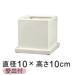 󂠂 Aؔ  픫 J L[u^  L 10cm 0.7bg Mt 