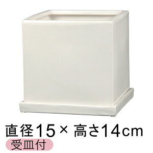 Aؔ  󂠂 픫 J L[u^  L 15.5cm 2.5bg Mt 