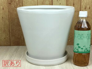 y󂠂z 픫 MP Aؔ ی^  △ 25cm 6bg Mt   [of20]