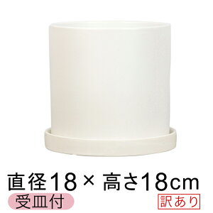 y󂠂z픫  ی^ Aؔ  △ 18cm Jo[ Mt  