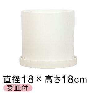 Aؔ 픫  ی^  △ 18cm Mt  