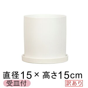 y󂠂z픫  ی^ Aؔ  △ 15cm Jo[ Mt  
