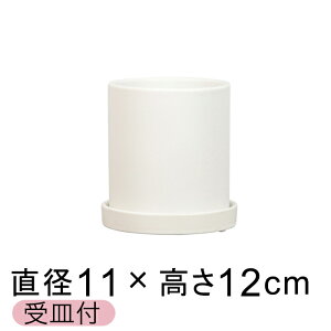 픫  ی^ Aؔ  △ 11cm Jo[ Mt  