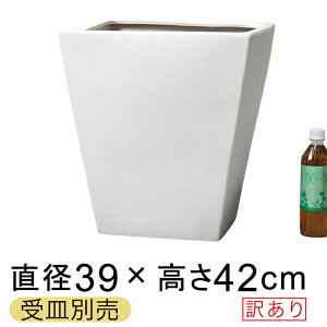 鉢 陶器鉢 白 スクエアの人気商品 通販 価格比較 価格 Com