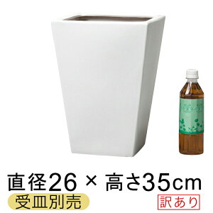 󂠂 픫 WY p^  △ S 26cm 12bg Jo[ Mʔ Aؔ O  [of20]