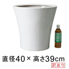 楽天市場 陶器鉢 白の通販 楽天市場 陶器鉢 白の通販