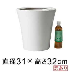 2024N2cLcɕύXi摜̓cLłj 󂠂 ۃ\^ 픫  △ S 31cm 11bg Mʔ Aؔ AؔJo[ O  [of20]