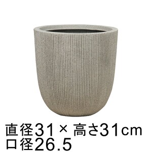 y  XgCv  Aؔ Jo[  31cm CgXg[n H