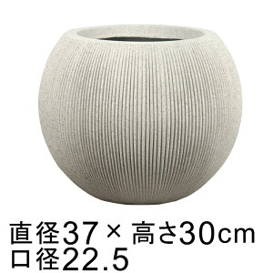 y  XgCv  Aؔ Jo[ {E 37cm CgXg[n H