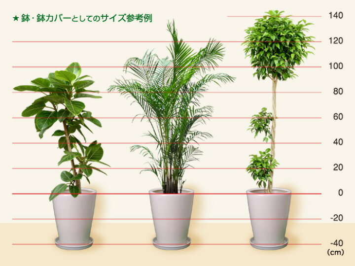 楽天市場】【楽天ランキング受賞】 訳あり 陶器 植木鉢 おしゃれ 陶器 