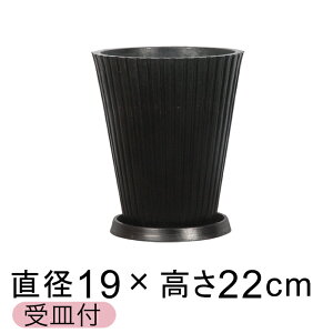  Mt Aؔ  XgCv 19cm 4bg ubNn  