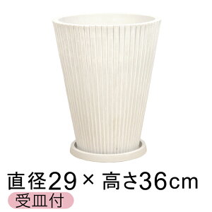  Mt Aؔ  XgCv 29cm 11bg zCgn  