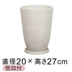  Mt Aؔ  [ 20cm 6bg zCgn Vv mg[