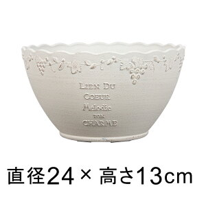  Aؔ EU {E 24cm 4bg AeB[NzCgn 킢 y  v^[