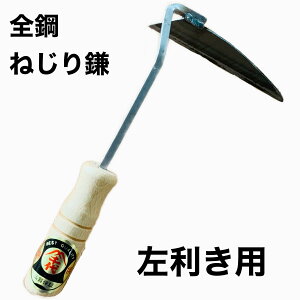 ˂芙@@@Ђ@p@S|@@@K[fjO@@芙@R@_Ɓ@@@J}@܁@@Ђ