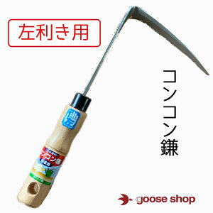 RR@p@Ђ@@XeX@c쏊@@@K[fjO@@@|@܁@J}@@hEJ