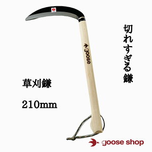 @@210mm Kt ԕt@dB  J} 芙 芙 G G΍  ނ  G΍ |pi K[fjOpi  { K[fjO | 