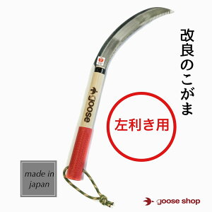  p ԃObv   ̂芙   J} p_@ p  芙 芙 ̂肪 G G΍  ނ |pi K[fj