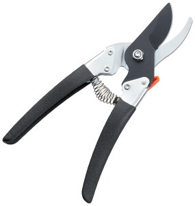 v^Cv 205mm tbfH@Trɋ@j@΂ Kтɂ    oT~ nT~ ͂ ԗpnT~ }؂ }؂͂ |͂ ԗp 