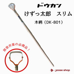 hEJ Y X ؕ DK-801      G΍@c  _Ɓ@_  IXX OZ[   낤 _ ܂