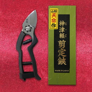 V  _Ìy^ 180mm | |pi K[fjOpi { K[fjO |@ ~     ʎ nT~ ͂ Ă R` ł 葢 Obv Ռz