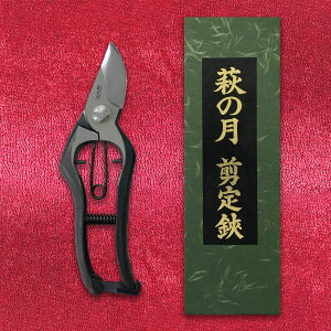 ̌ S^  8C` 200mm NbVt ~ 8D | |pi K[fjOpi { K[fjO |@ ~     ʎ nT~ ͂ Ă R` 