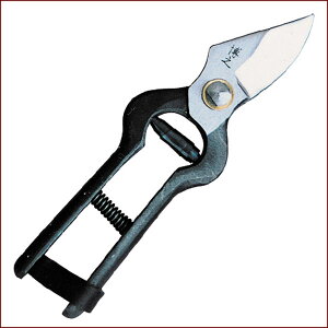 V@^  190mm | |pi K[fjOpi { K[fjO |@ ~     ʎ nT~ ͂ Ă R` ł 葢 Obv Ռz