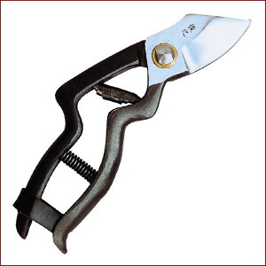 rV@^  180mm | |pi K[fjOpi { K[fjO |@ ~     ʎ nT~ ͂ Ă R` ł 葢 Obv Ռz