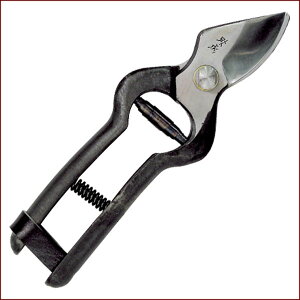 Տ^  190mm | |pi K[fjOpi { K[fjO |@ ~     ʎ nT~ ͂ Ă R` ł 葢 Obv Ռz V