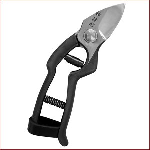 _Ìy  175mm | |pi K[fjOpi { K[fjO |@ ~     ʎ nT~ ͂ Ă R` ł 葢 Obv Ռz V 