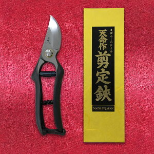 V X[p[  HR^ 8C` 200mm ~ 8D | |pi K[fjOpi { K[fjO |@ ~     ʎ nT~ ͂ Ă R` ł 葢