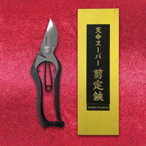 V X[p[  S^ 7C` 180mm ~ 7D | |pi K[fjOpi { K[fjO |@ ~     ʎ nT~ ͂ Ă R` ł 葢