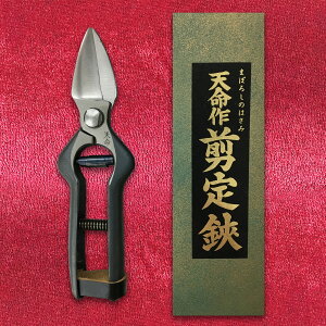 V jjN 195mm | |pi K[fjOpi { K[fjO |@ ~     ʎ nT~ ͂ Ă R` ł 葢 Obv Ռz 