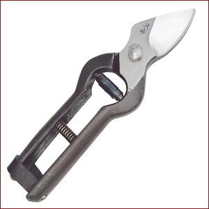 V  190mm | |pi K[fjOpi { K[fjO |@ ~     ʎ nT~ ͂ Ă R` ł 葢 Obv Ռz V 