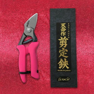 V  L^ VRObv p Ȃ KV[Y 190mm | |pi K[fjOpi { K[fjO |@ ~     ʎ nT~ ͂ Ă R