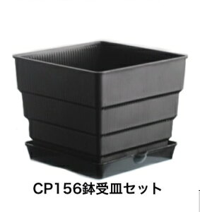  CP156 Zbg v MZbg  vX`bN XNGA^  TCY ʋC T[NO h~ @\I v^[ Aؔ A | h~ ͂ ʐ 