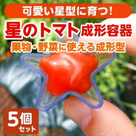 星のトマト 5個 セット 星型 普通 サイズ 星 トマト ミニトマト プチトマト きゅうり 家庭菜園 容器 型 果実成形型 成形カプセル 成型器 成形 果実 野菜 モールド 子ども お弁当 自由研究 観察 プラスチック 料理 こども 家庭菜園