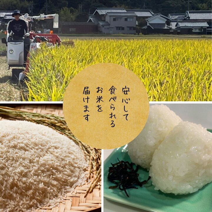 楽天市場】【令和7年産】兵庫県産 ヒノヒカリ 30kg 玄米 ひのひかり 米 