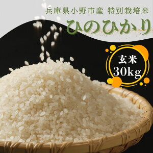 【新米】【令和7年】兵庫県産 ヒノヒカリ 30kg 玄米 有機質肥料 化学肥料不使用 ひのひかり 米 お米 こめ おこめ 弁当 おいしい 小野市 送料無料 農家 良食味米 ブランド 家庭 30キロ 個別処理