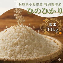 楽天市場】ヒノヒカリ 玄米 30kgの通販