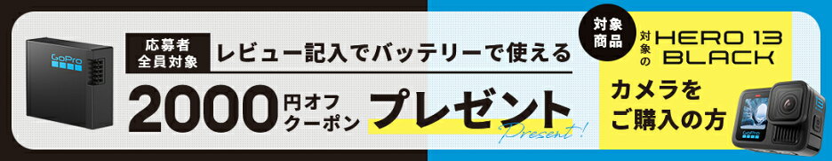 レビューキャンペーン