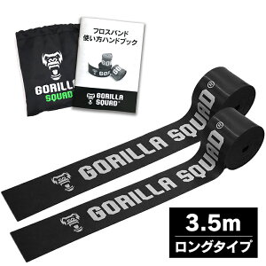 キャリーバッグ バンド スポーツの人気商品 通販 価格比較 価格 Com
