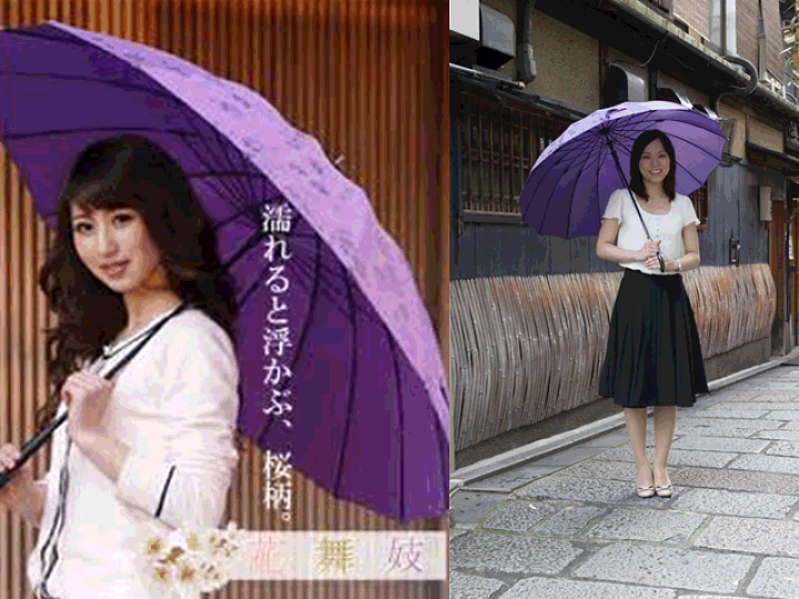 umbrella 傘映像篇　激レア　五月雨 アニマルヘッド 晴雨兼用傘 TL9 Fox Umbrellas/フォックス