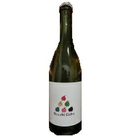 日本 Vin de la Bocchi Bocchi cidre　シードル・中辛口 750ml /日本/金沢/和食/ギフト/お歳暮/記念日 【ワインショップ　ゴリヨン】