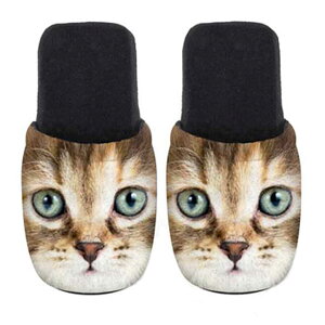 yX[p[SALE|Cg2{z [X|W CATS EL TIGRE LTCY Xbp eurospugna jZbNX Y fB[X [V[Y L ˂ lR  qp  [V[Y