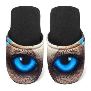 [X|W EYES HUSKY MTCY Xbp eurospugna jZbNX Y fB[X [V[Y  nXL[  qp 