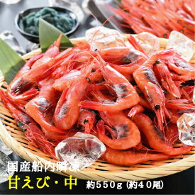【ふるさと納税で大人気！】共栄丸の国産船内瞬凍甘エビ 甘えび 冷凍 甘海老 甘エビ ギフト 母の日 海老 国産 中・約550g(約40尾・3-4人前) 送料無料