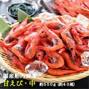 yӂ邳Ɣ[łőlCIzhۂ̍YDuÃGr Y E550g(40E3-4lO) Â Ⓚ ÃGr Mtg ÊCV 