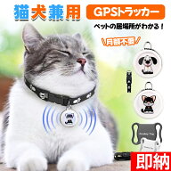 【即納1〜2営業日以内発送】【ペット追跡・盗難対策】FindmayTag 日本語説明書付き 位置共有機能 首輪付…