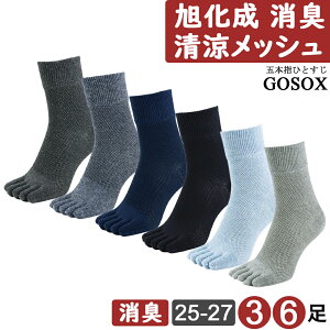 y 5{w  L ̎q҂ z Y n[t 100  Ɨp SC  n ܖ{w\bNX 5{wC ܖ{wC 5{w\bNX   am n  ubN 3 6